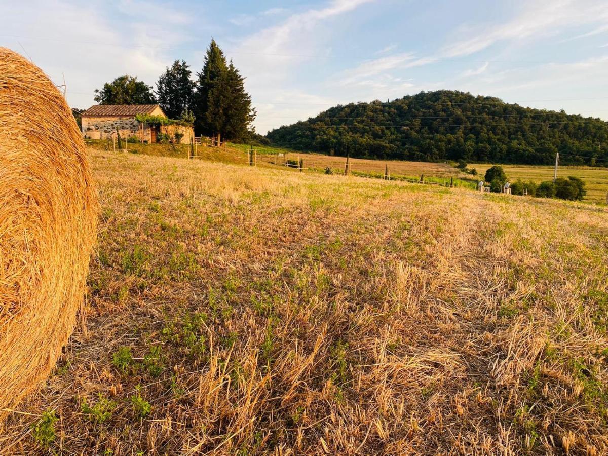 Podere La Selva Rapolano Terme Ngoại thất bức ảnh