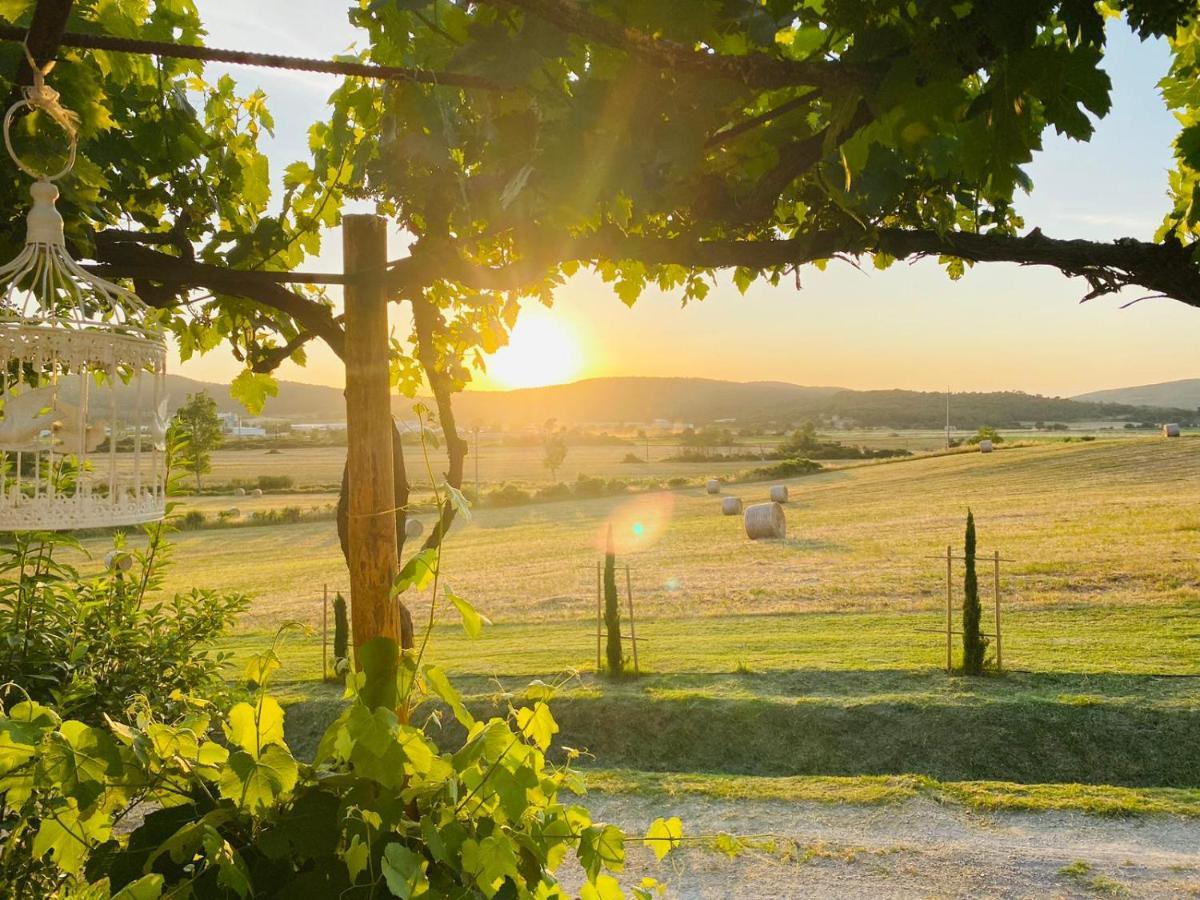 Podere La Selva Rapolano Terme Ngoại thất bức ảnh