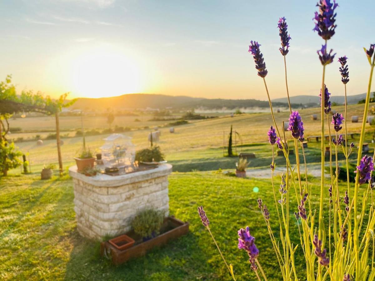 Podere La Selva Rapolano Terme Ngoại thất bức ảnh