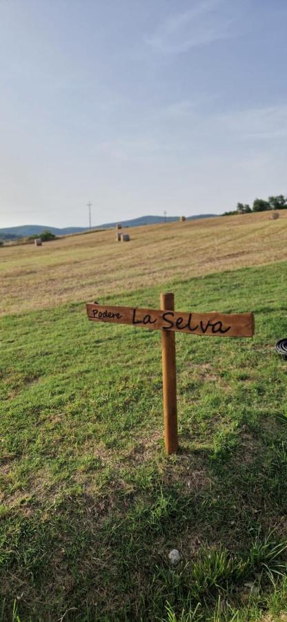 Podere La Selva Rapolano Terme Ngoại thất bức ảnh