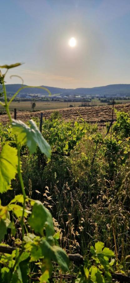 Podere La Selva Rapolano Terme Ngoại thất bức ảnh