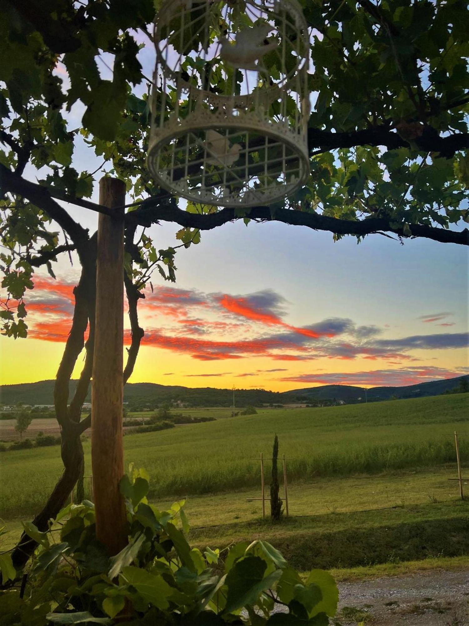 Podere La Selva Rapolano Terme Ngoại thất bức ảnh